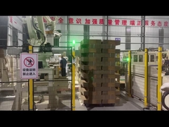 Sistem robot palletizer TAEMS untuk karton